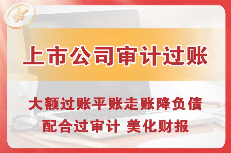 仁寿上市公司审计过账